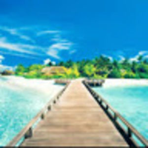 Meet your Posher, Loretta